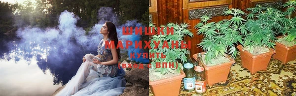 дистиллят марихуана Богданович